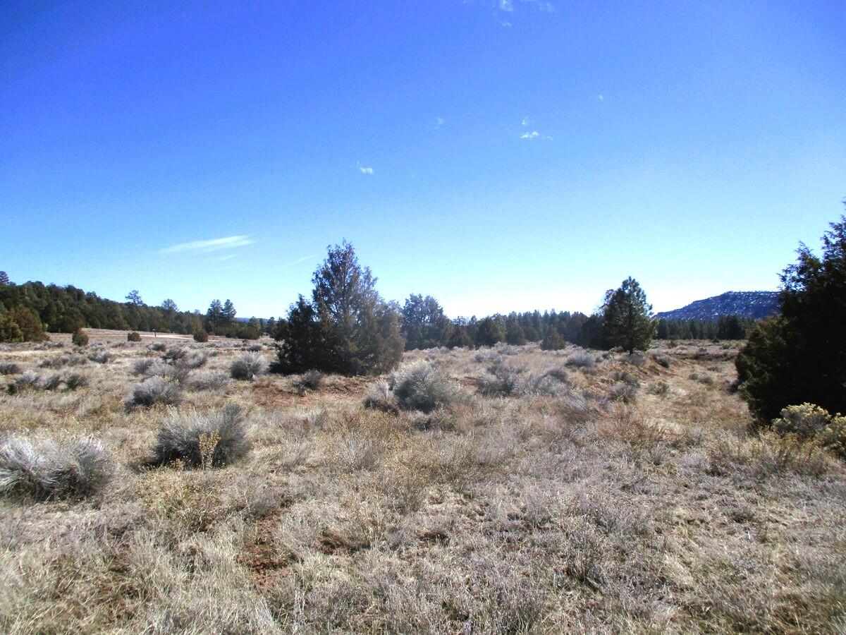 Lot 10 Sagebrush Road Ramah, NM 87321 - Photo 43 of 90 Gallery Image 43