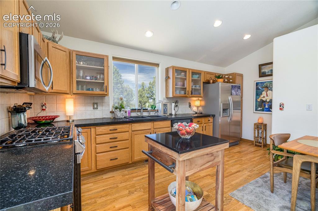 161 Wahsatch Road Florissant, CO 80816 - Photo 14 of 36
