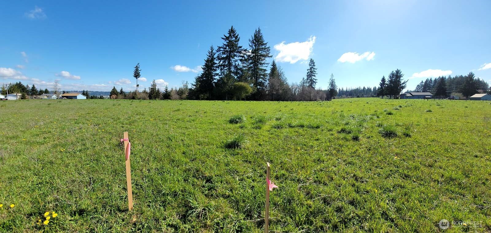 1003 Old Highway Chehalis, WA 98532 - Photo 2 of 5 a view of a golf course with a garden