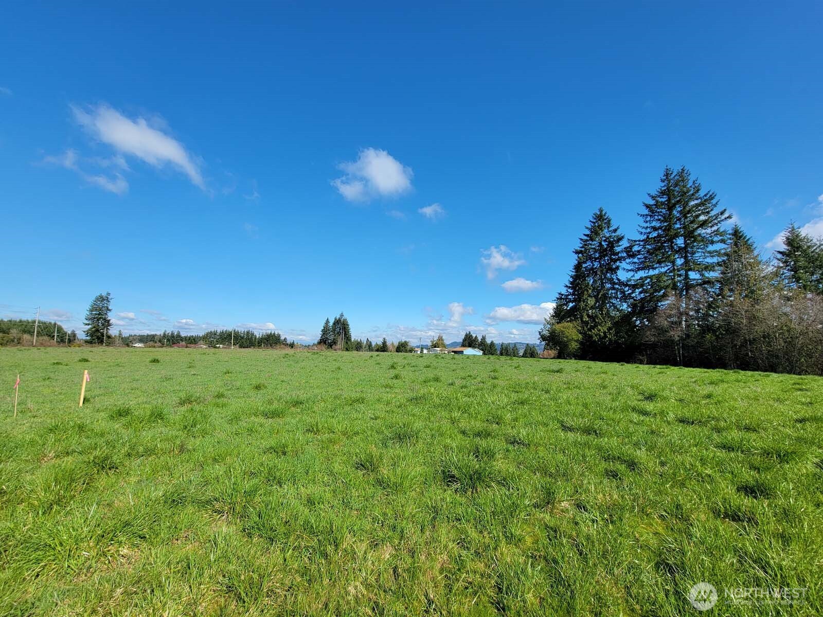 1003 Old Highway Chehalis, WA 98532 - Photo 3 of 5 a view of outdoor space and yard