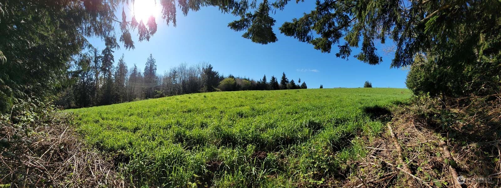 1003 Old Highway Chehalis, WA 98532 - Photo 4 of 5 a view of a yard
