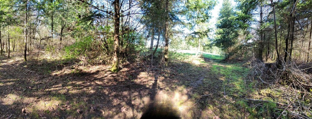 1003 Old Highway Chehalis, WA 98532 - Photo 5 of 5 a view of forest