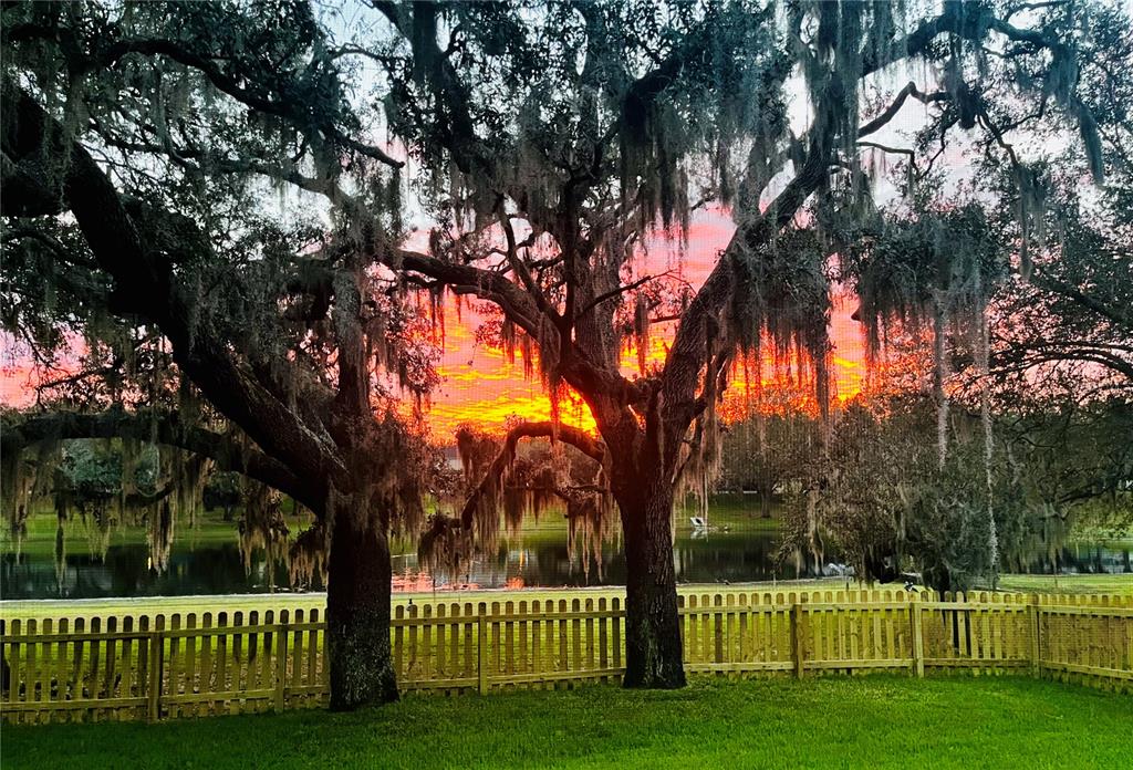 734 Berry Bramble Drive Brandon, FL 33510 - Photo 19 of 49 a view of a deck with a large tree