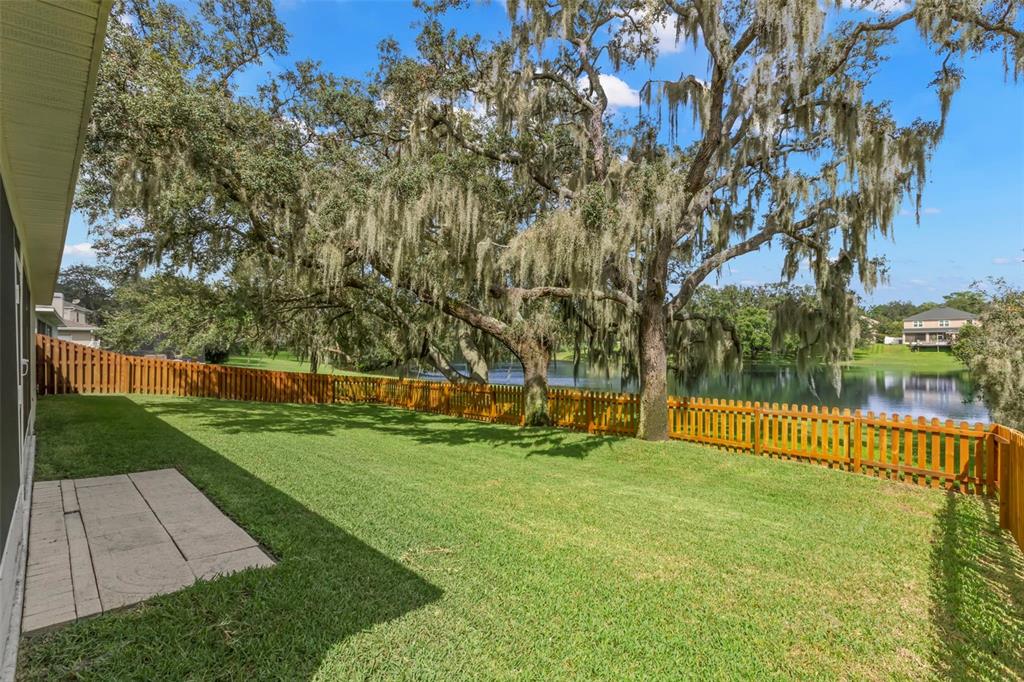 734 Berry Bramble Drive Brandon, FL 33510 - Photo 22 of 49 a view of swimming pool with a small yard and large trees
