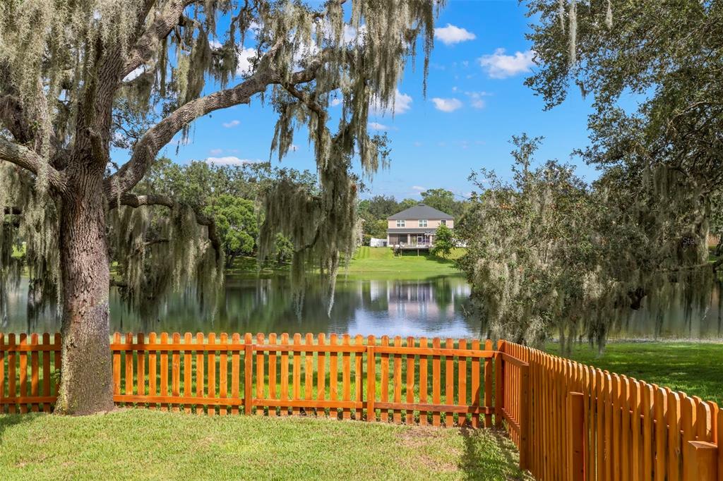 734 Berry Bramble Drive Brandon, FL 33510 - Photo 23 of 49