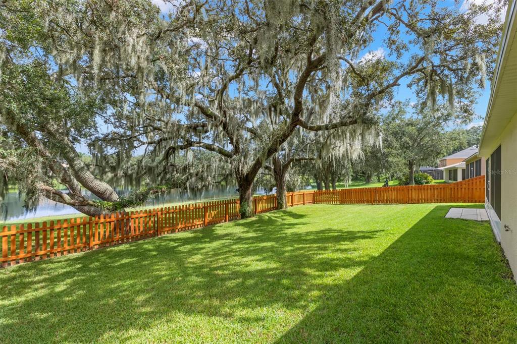 734 Berry Bramble Drive Brandon, FL 33510 - Photo 24 of 49 a view of an outdoor space and a yard