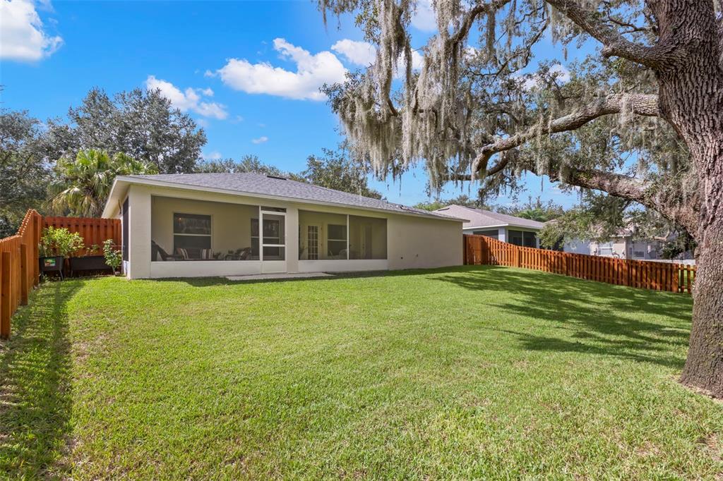 734 Berry Bramble Drive Brandon, FL 33510 - Photo 26 of 49 a backyard of a house with plants and large tree