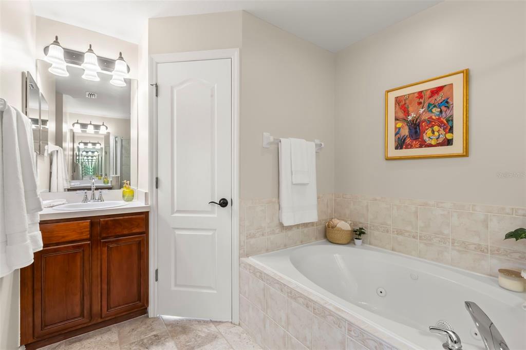 734 Berry Bramble Drive Brandon, FL 33510 - Photo 32 of 49 a bathroom with a tub a sink and mirror