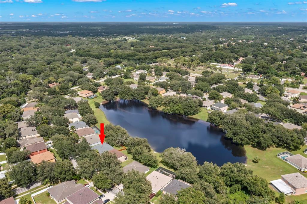 734 Berry Bramble Drive Brandon, FL 33510 - Photo 44 of 49 an aerial view of residential house with outdoor space