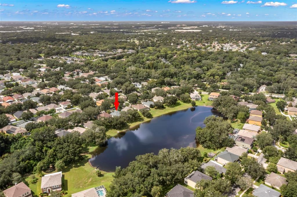 734 Berry Bramble Drive Brandon, FL 33510 - Photo 46 of 49 an aerial view of residential house with parking and trees