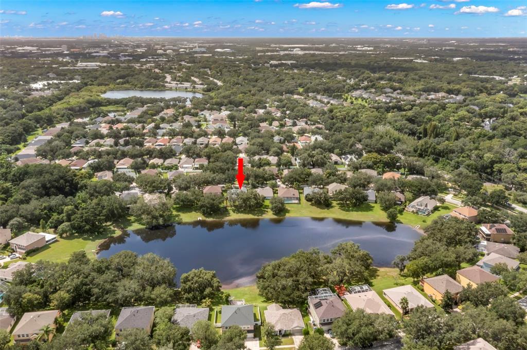 734 Berry Bramble Drive Brandon, FL 33510 - Photo 47 of 49 an aerial view of a city