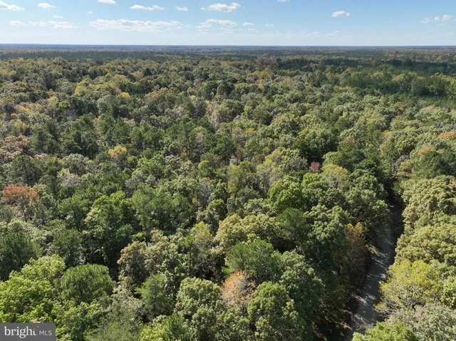 a view of a forest from a window