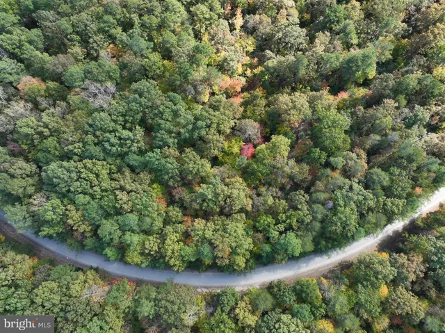 a view of backyard with green space