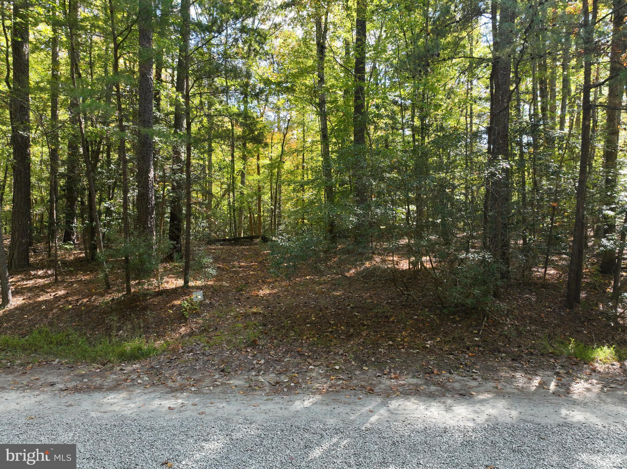 0 Old Camp Road Lanexa, VA 23089 - Photo 7 of 7 Gallery Image 7