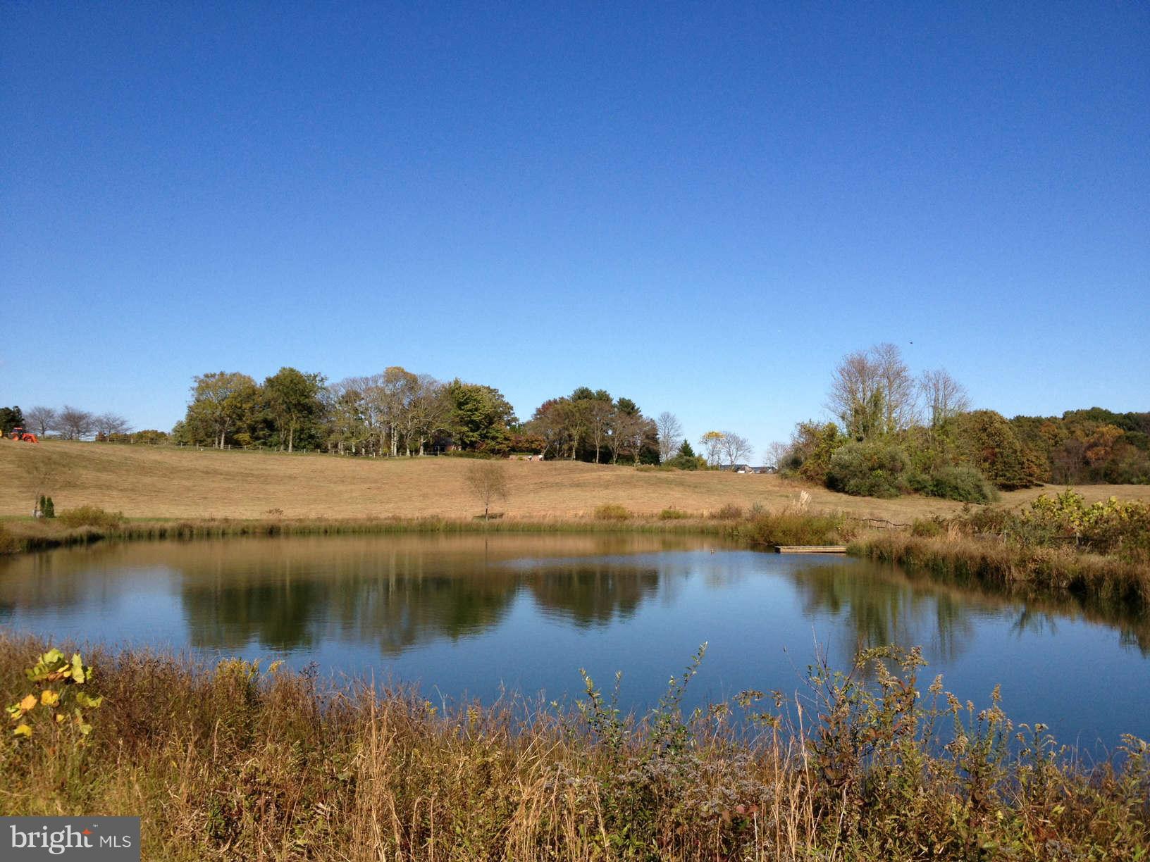 6047 Leeds Manor Road Hume, VA 22639 - Photo 3 of 24 Pond and pasture