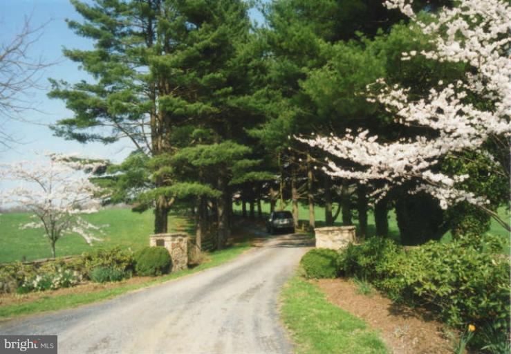 6047 Leeds Manor Road Hume, VA 22639 - Photo 4 of 24 Driveway
