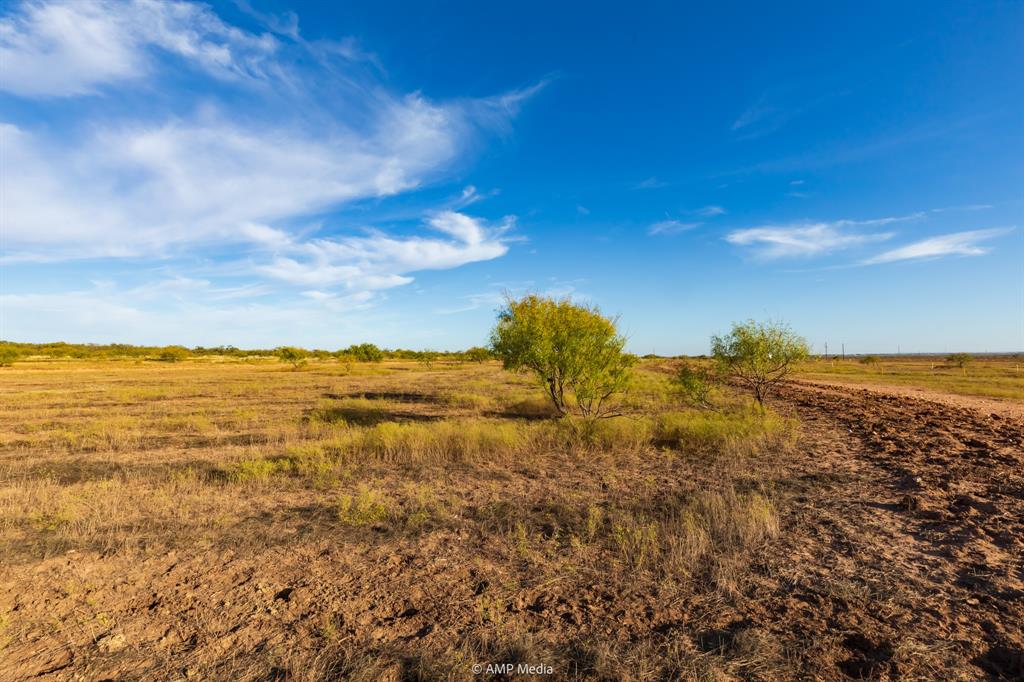 13558 County Road 440 Merkel, TX 79536 - Photo 22 of 26 a view of an ocean