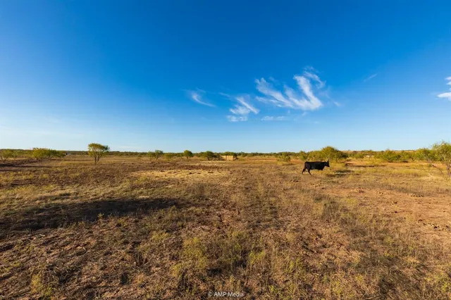 $270,000 | 13558 County Road 440, Merkel, TX 79536