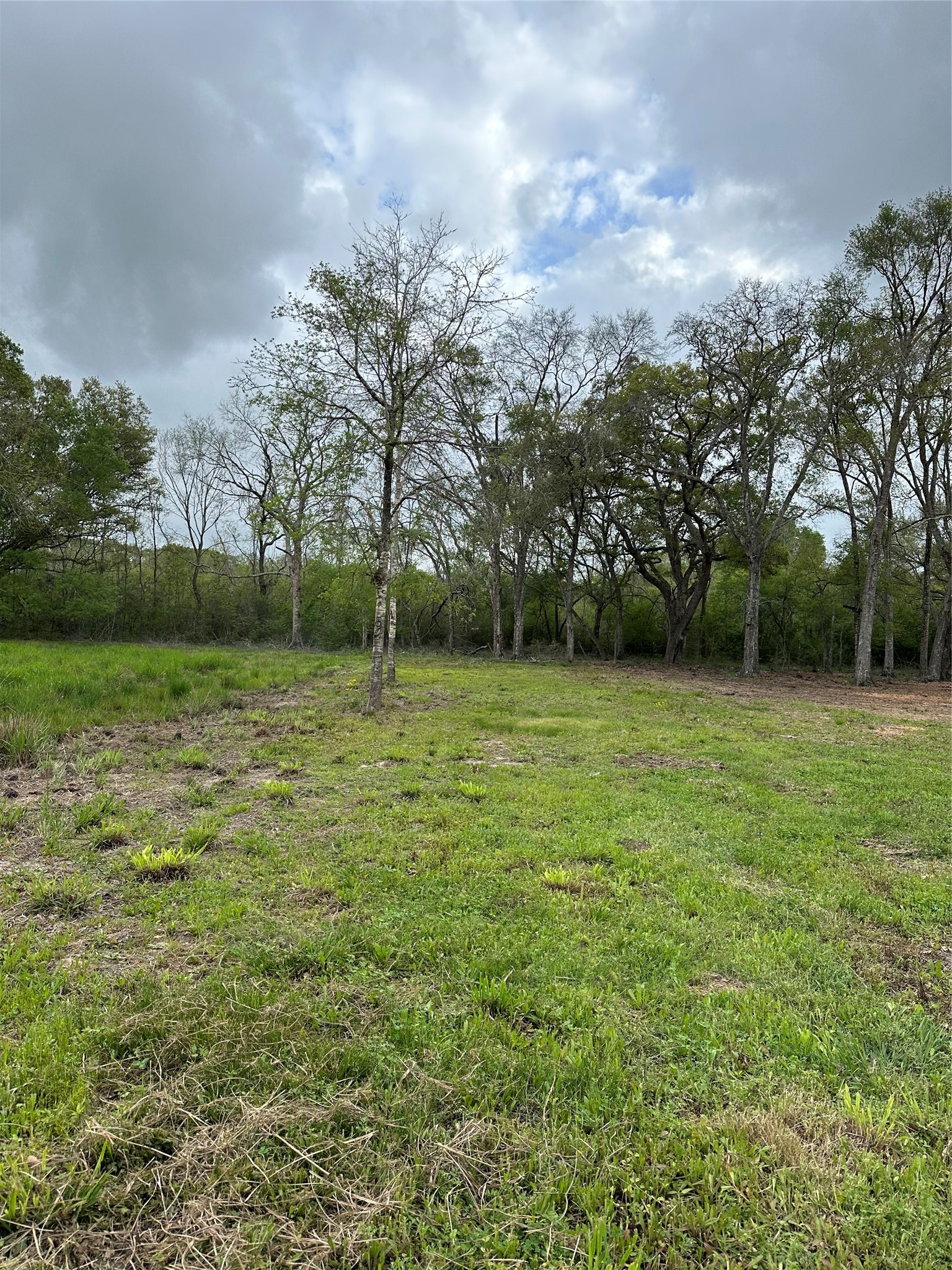 0 County Road 567 Rosharon, TX 77583 - Photo 2 of 12 a view of a field with a tree in the background