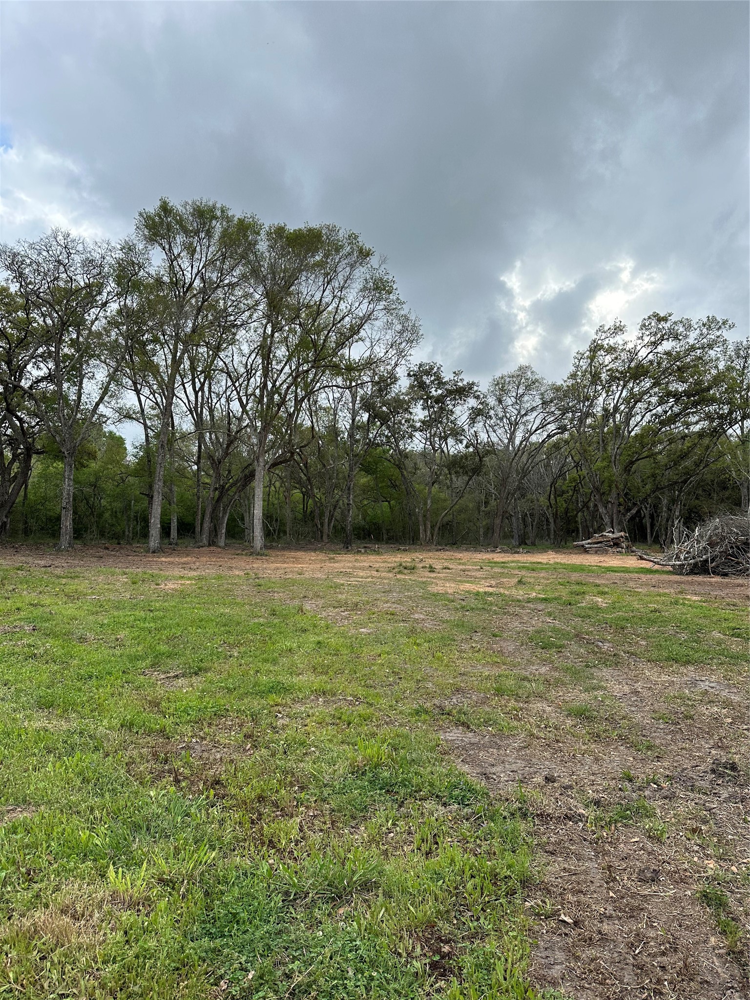0 County Road 567 Rosharon, TX 77583 - Photo 4 of 12 a view of a green field