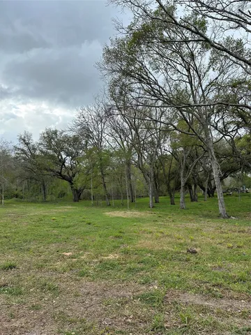 a view of a field with a tree