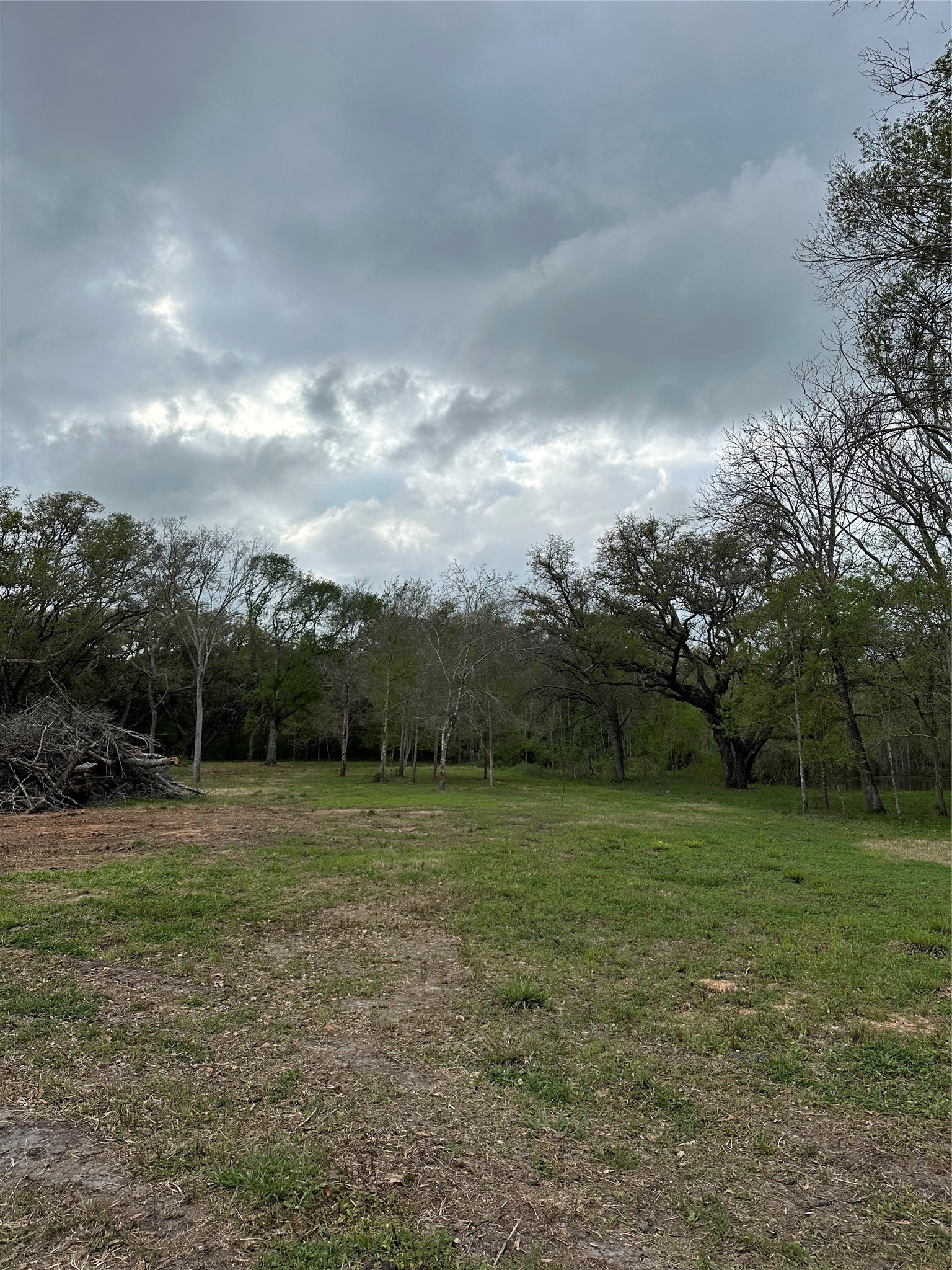 0 County Road 567 Rosharon, TX 77583 - Photo 6 of 12 a view of outdoor space with field and trees