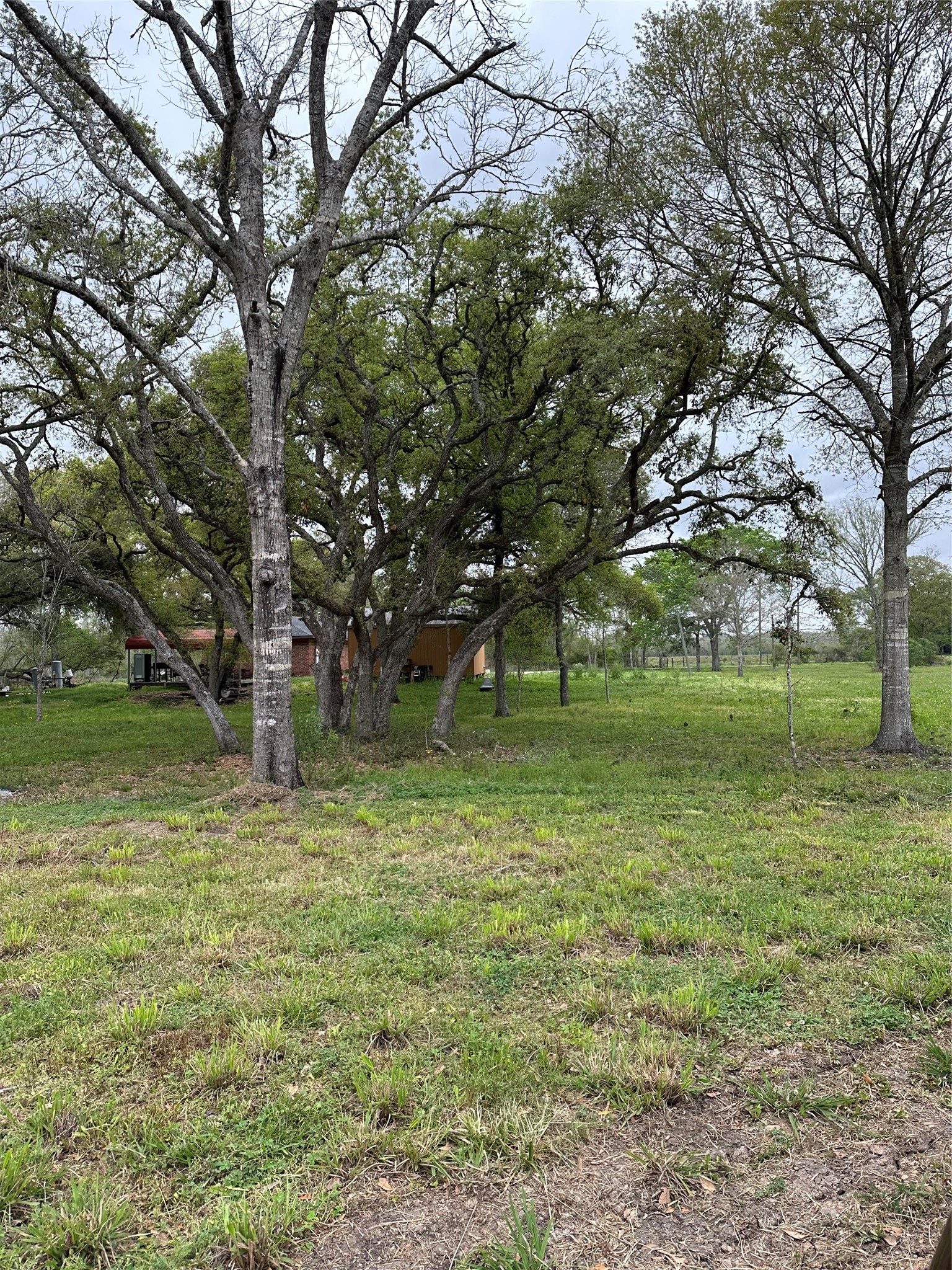 0 County Road 567 Rosharon, TX 77583 - Photo 9 of 12 a backyard of a house with lots of green space