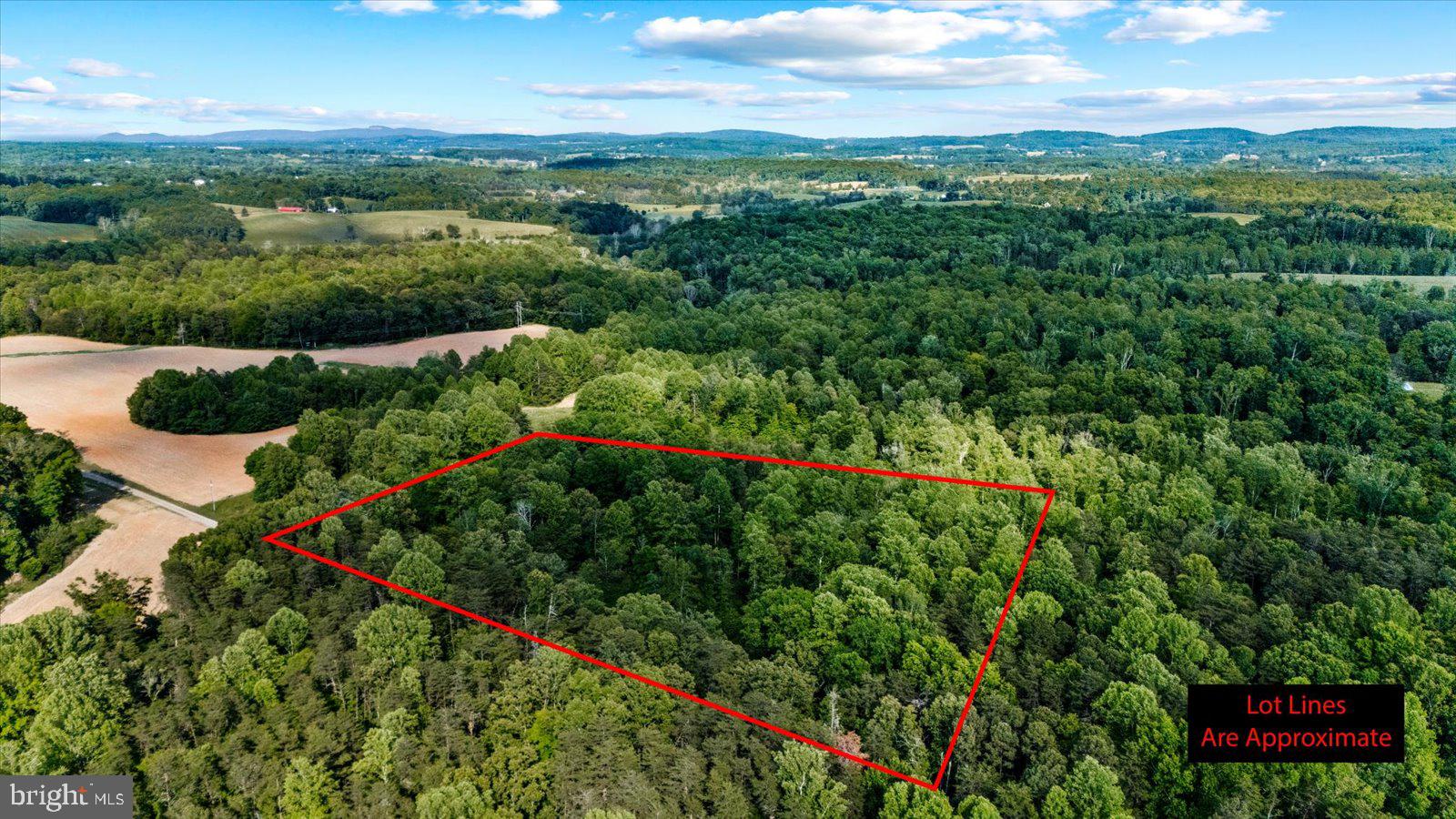 804 Buggy Lane Rochelle, VA 22738 - Photo 46 of 50 a view of a city with lush green forest