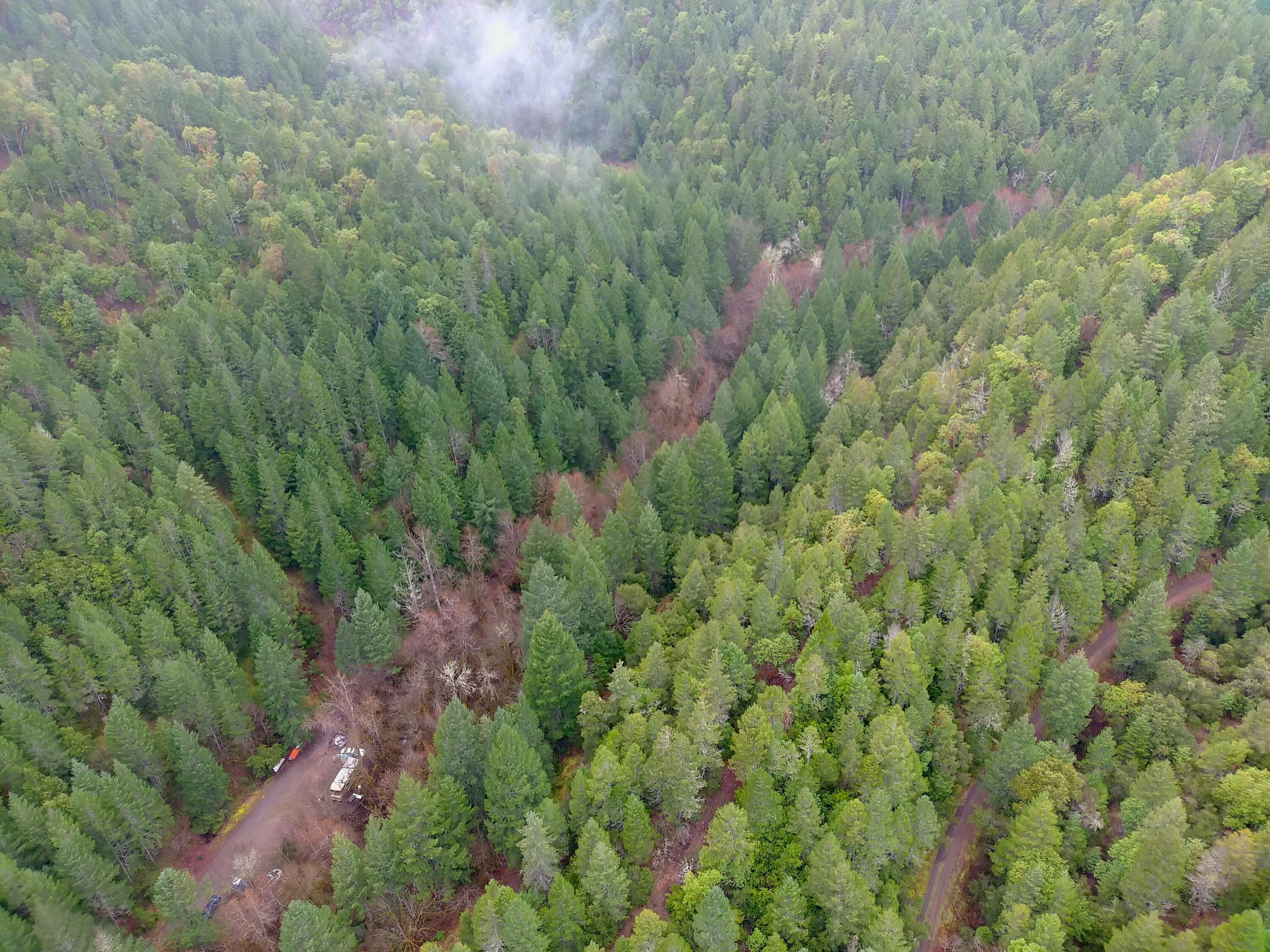 1802 Waters Creek Road Wilderville, OR 97543 - Photo 2 of 14 a view of a forest with a street