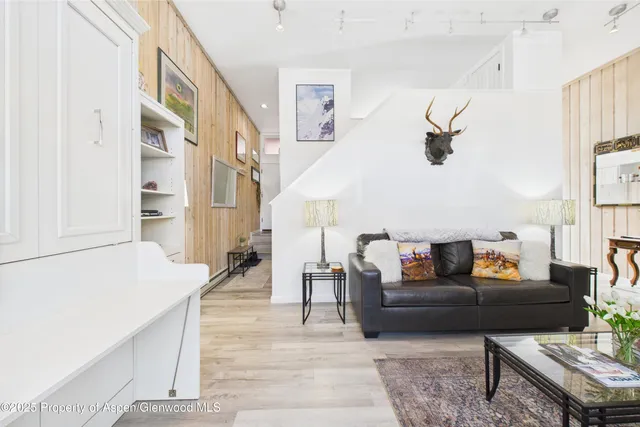 $8,000 | 311 South Aspen Street, Unit 3, Aspen, CO 81611