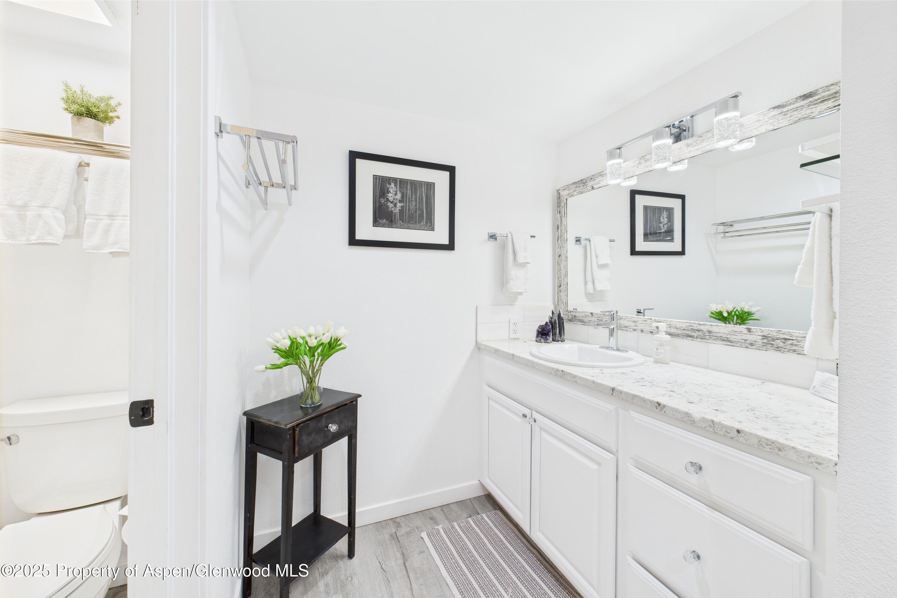 311 South Aspen Street, Unit 3 Aspen, CO 81611 - Photo 15 of 22 Cooper St Loft 3-15