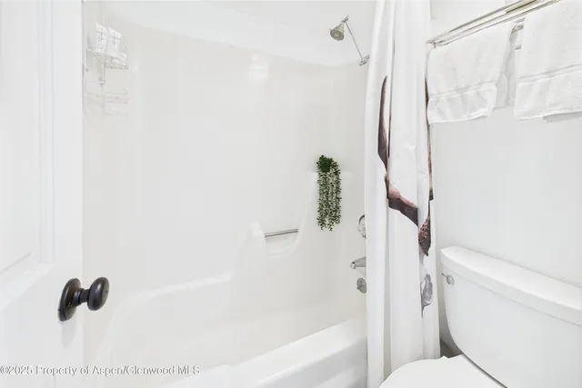 $8,000 | 311 South Aspen Street, Unit 3, Aspen, CO 81611