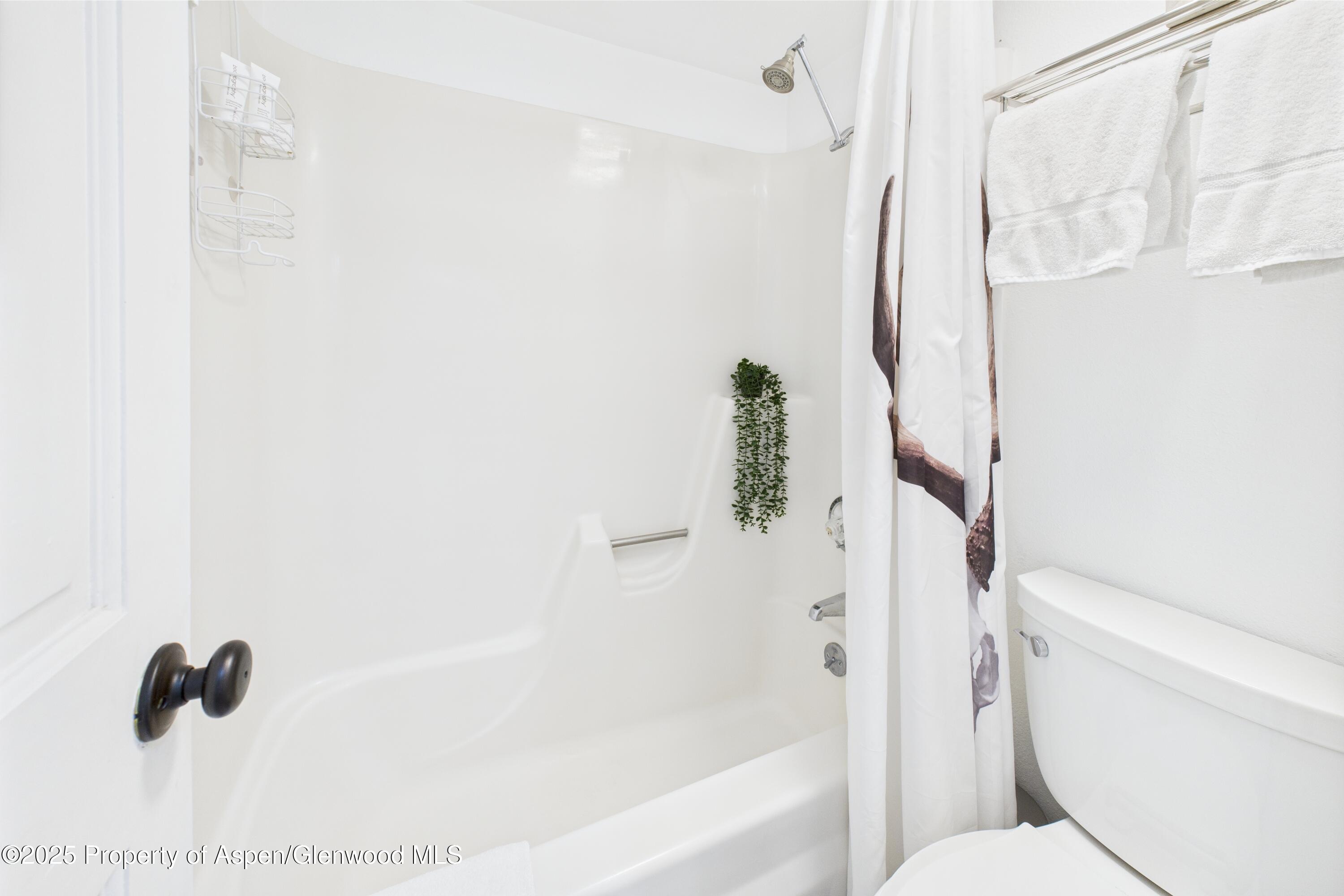 311 South Aspen Street, Unit 3 Aspen, CO 81611 - Photo 16 of 22 Cooper St Loft 3-16