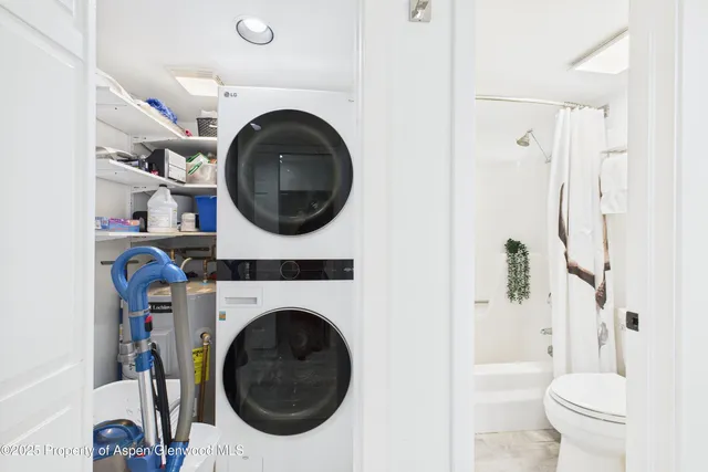 $8,000 | 311 South Aspen Street, Unit 3, Aspen, CO 81611