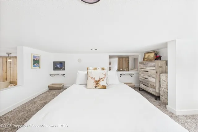 $8,000 | 311 South Aspen Street, Unit 3, Aspen, CO 81611