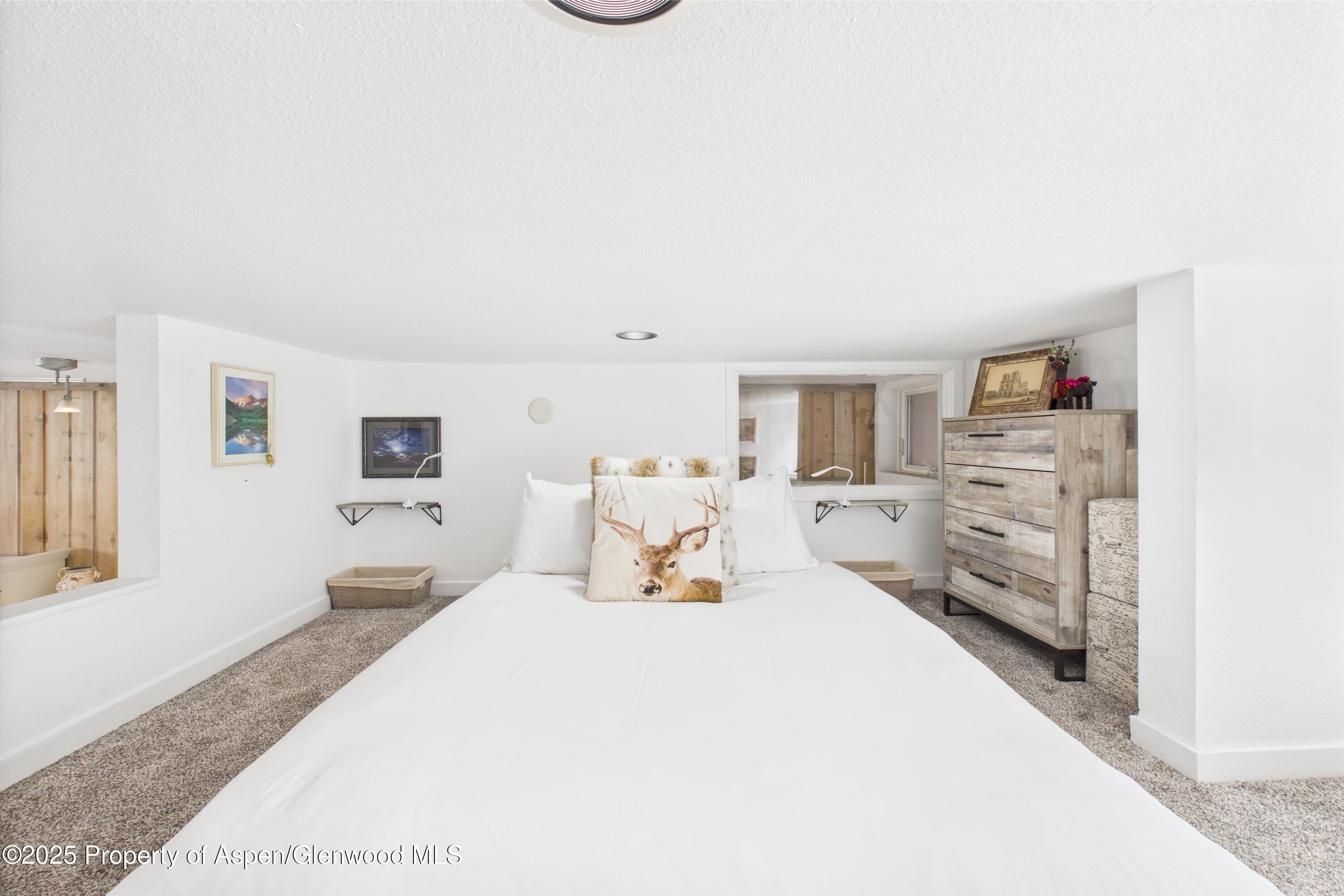 311 South Aspen Street, Unit 3 Aspen, CO 81611 - Photo 19 of 22 Cooper St Loft 3-19