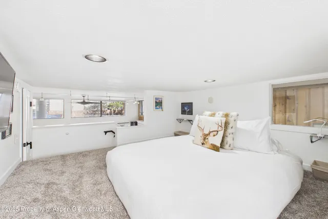 $8,000 | 311 South Aspen Street, Unit 3, Aspen, CO 81611