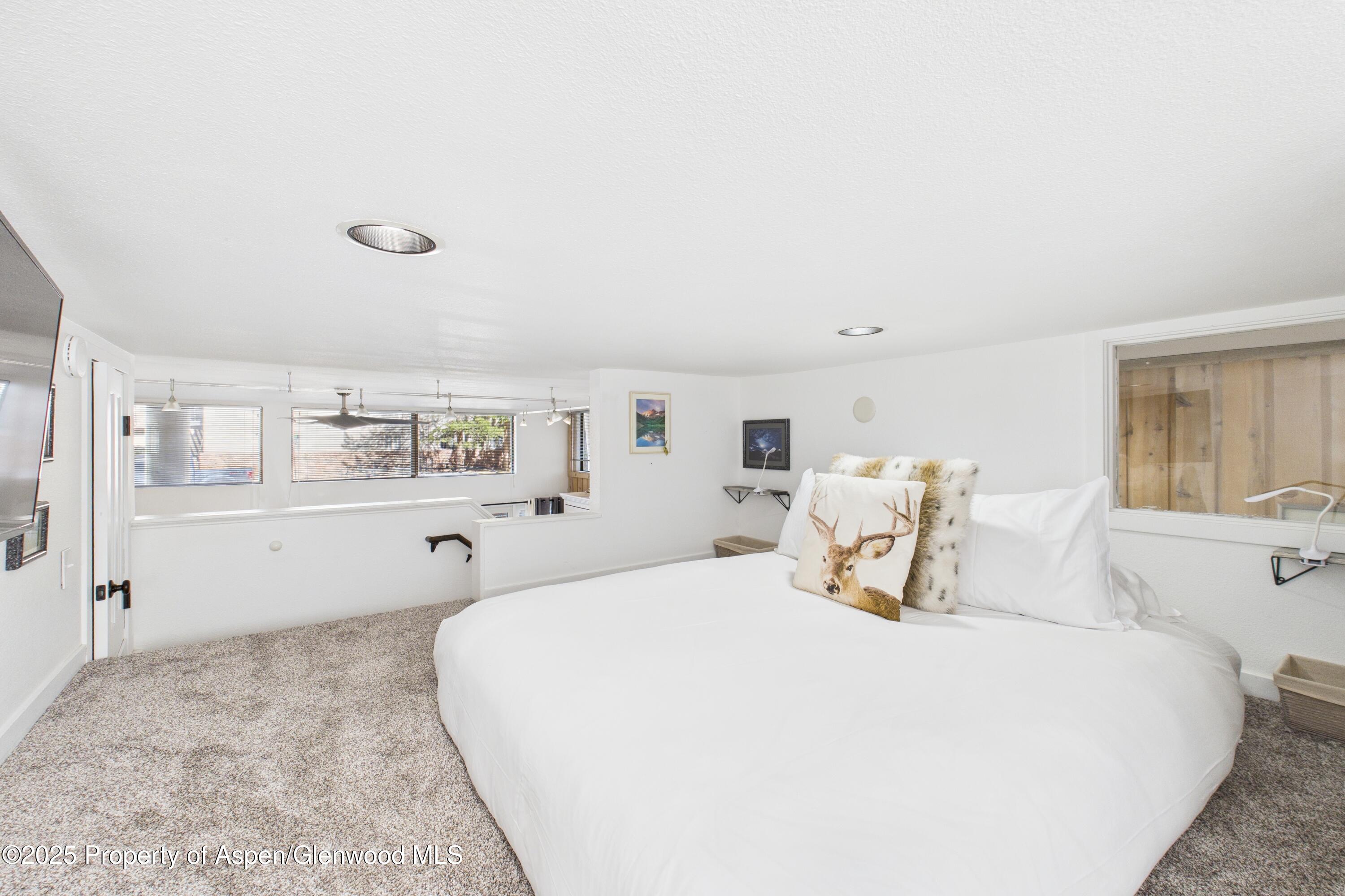 311 South Aspen Street, Unit 3 Aspen, CO 81611 - Photo 20 of 22 Cooper St Loft 3-20