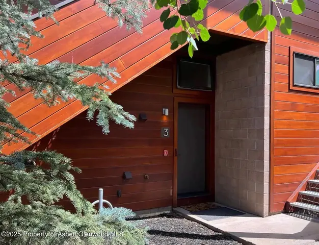 $8,000 | 311 South Aspen Street, Unit 3, Aspen, CO 81611