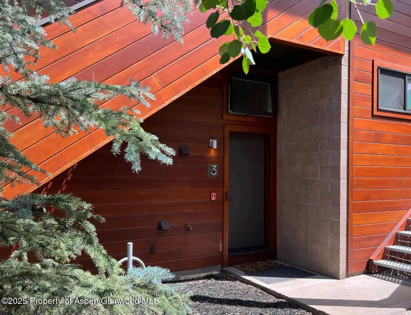 311 South Aspen Street, Unit 3 Aspen, CO 81611 - Photo 21 of 22 Entrance