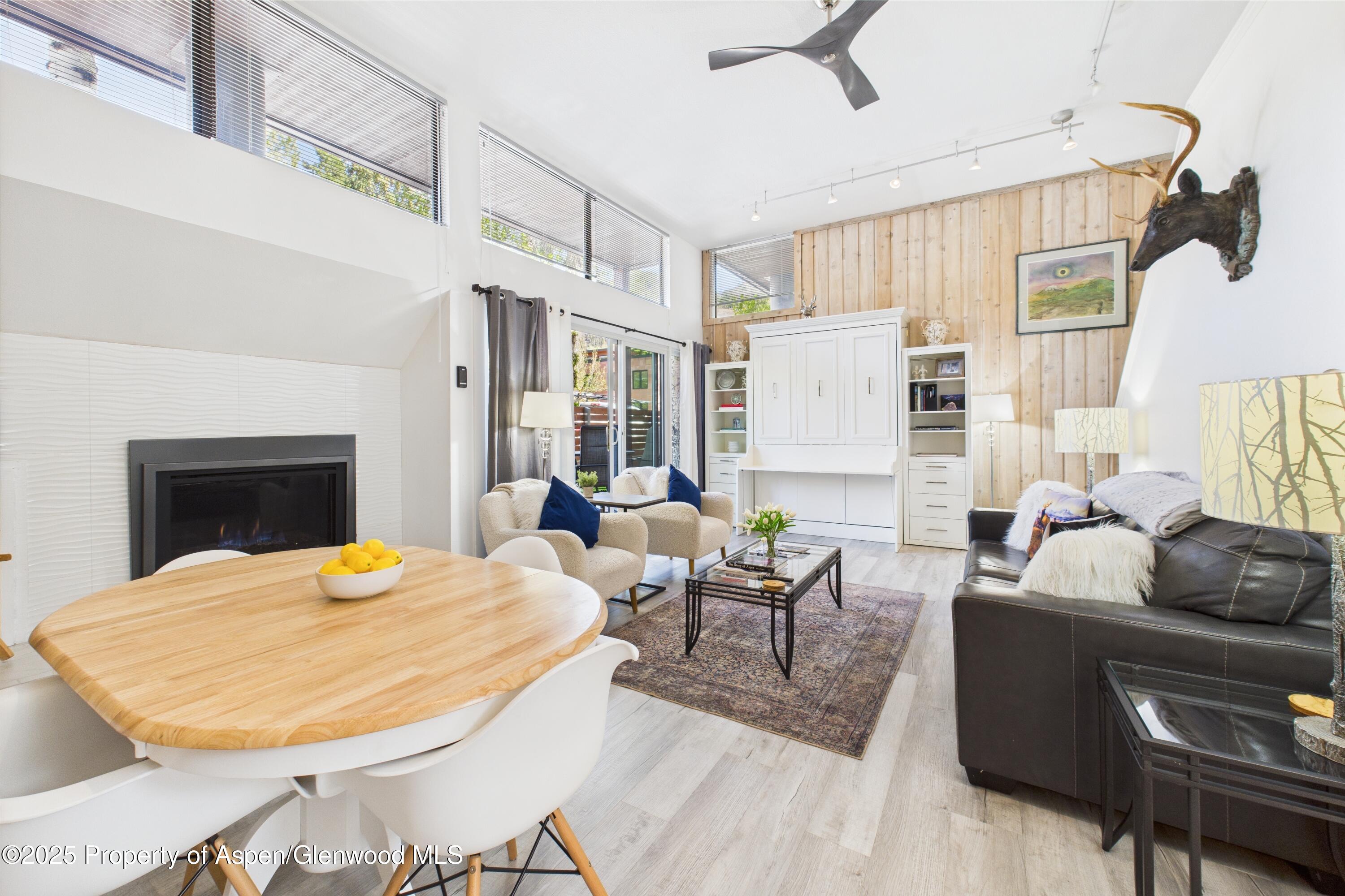 311 South Aspen Street, Unit 3 Aspen, CO 81611 - Photo 4 of 22 Cooper St Loft 3-04