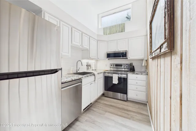 $8,000 | 311 South Aspen Street, Unit 3, Aspen, CO 81611