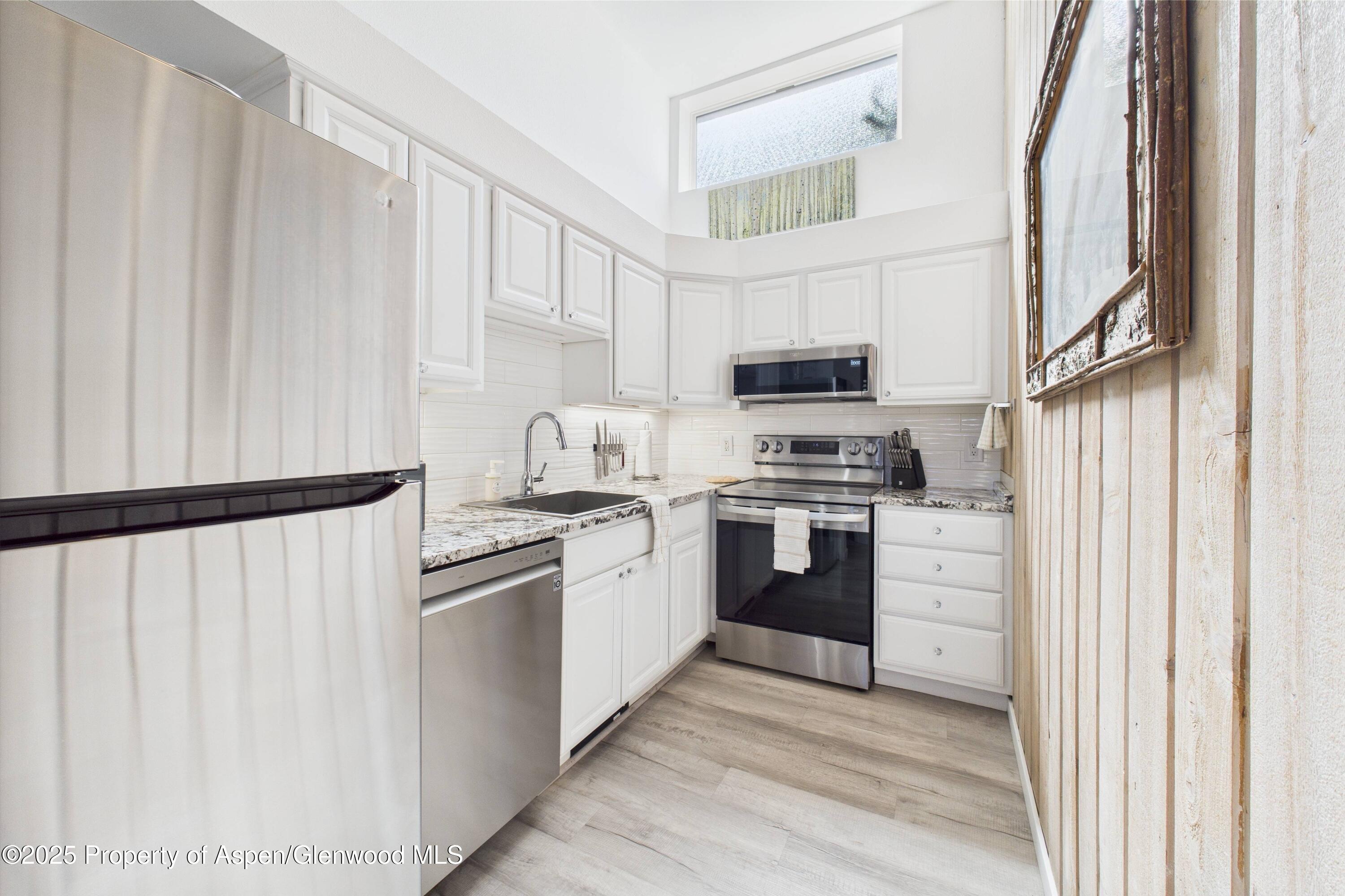 311 South Aspen Street, Unit 3 Aspen, CO 81611 - Photo 6 of 22 Cooper St Loft 3-06