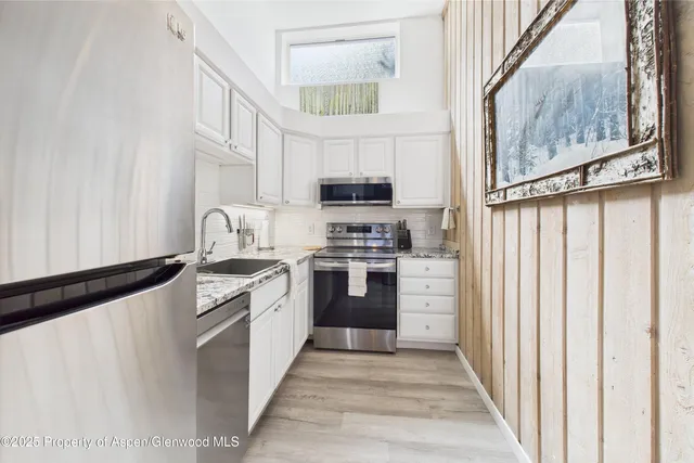 $8,000 | 311 South Aspen Street, Unit 3, Aspen, CO 81611