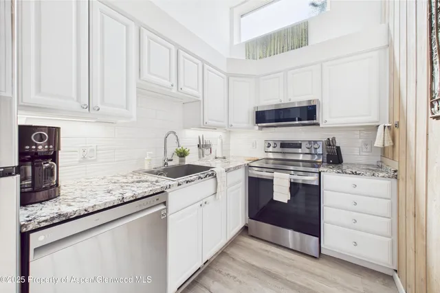 $8,000 | 311 South Aspen Street, Unit 3, Aspen, CO 81611