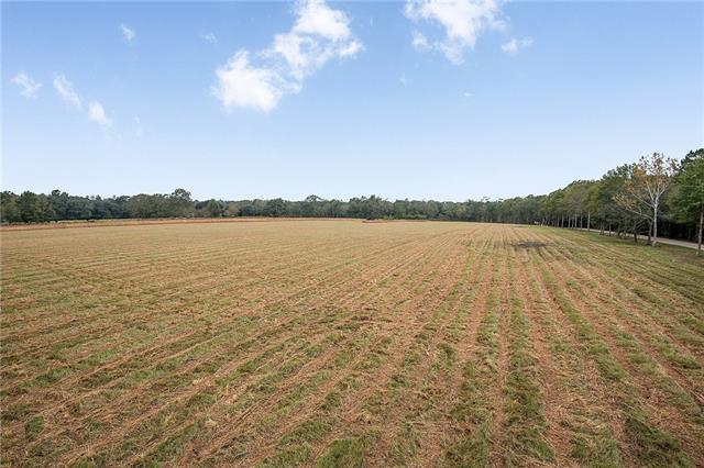 12294 Quaglino Road Folsom, LA 70437 - Photo 2 of 9