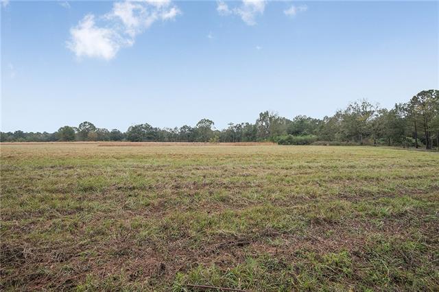 12294 Quaglino Road Folsom, LA 70437 - Photo 8 of 9