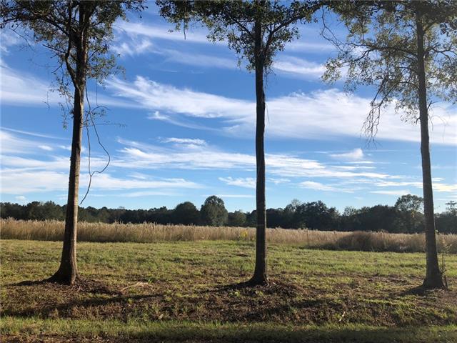 12294 Quaglino Road Folsom, LA 70437 - Photo 9 of 9