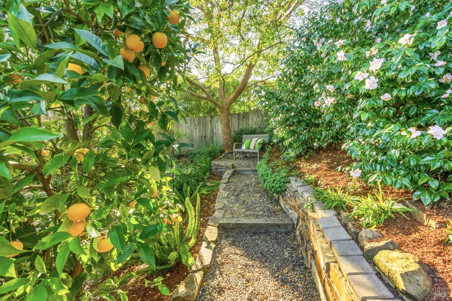 829 Las Pavadas Avenue San Rafael, CA 94903 - Photo 32 of 55 A secret garden perch under a Chinese Elm tree...