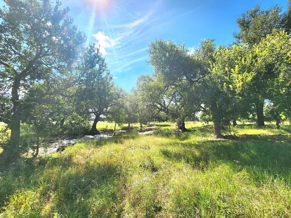 $775,000 | 290 County Road 409, Cherokee, TX 76832